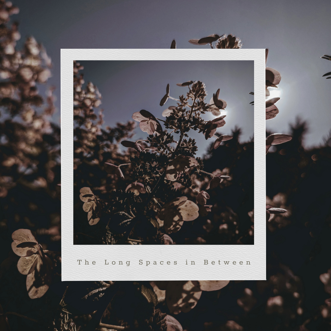 The Long Spaces In-Between