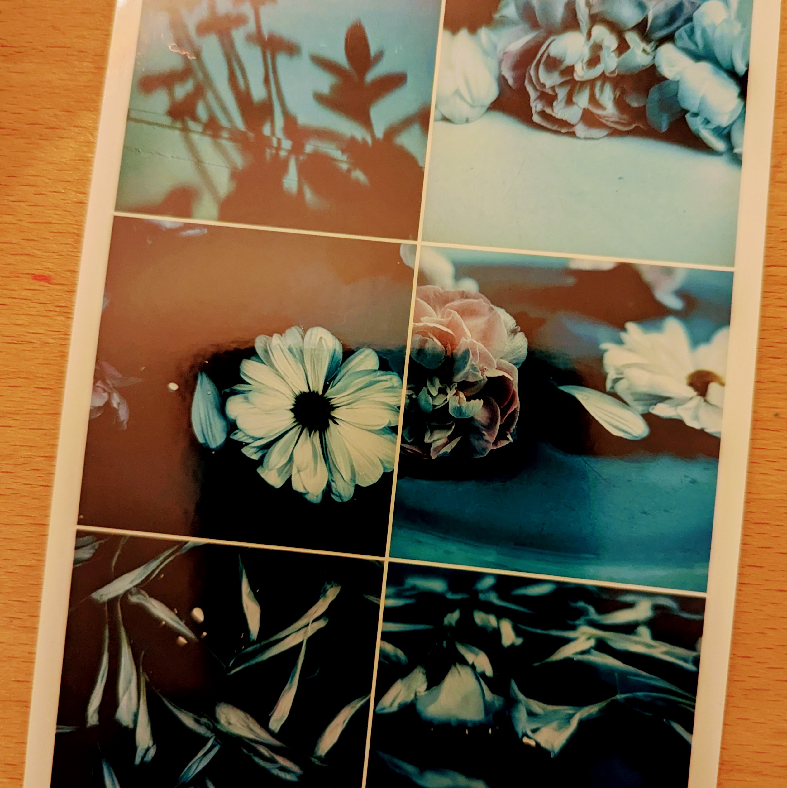 Bouquet Study: Wholeness and Deconstruction