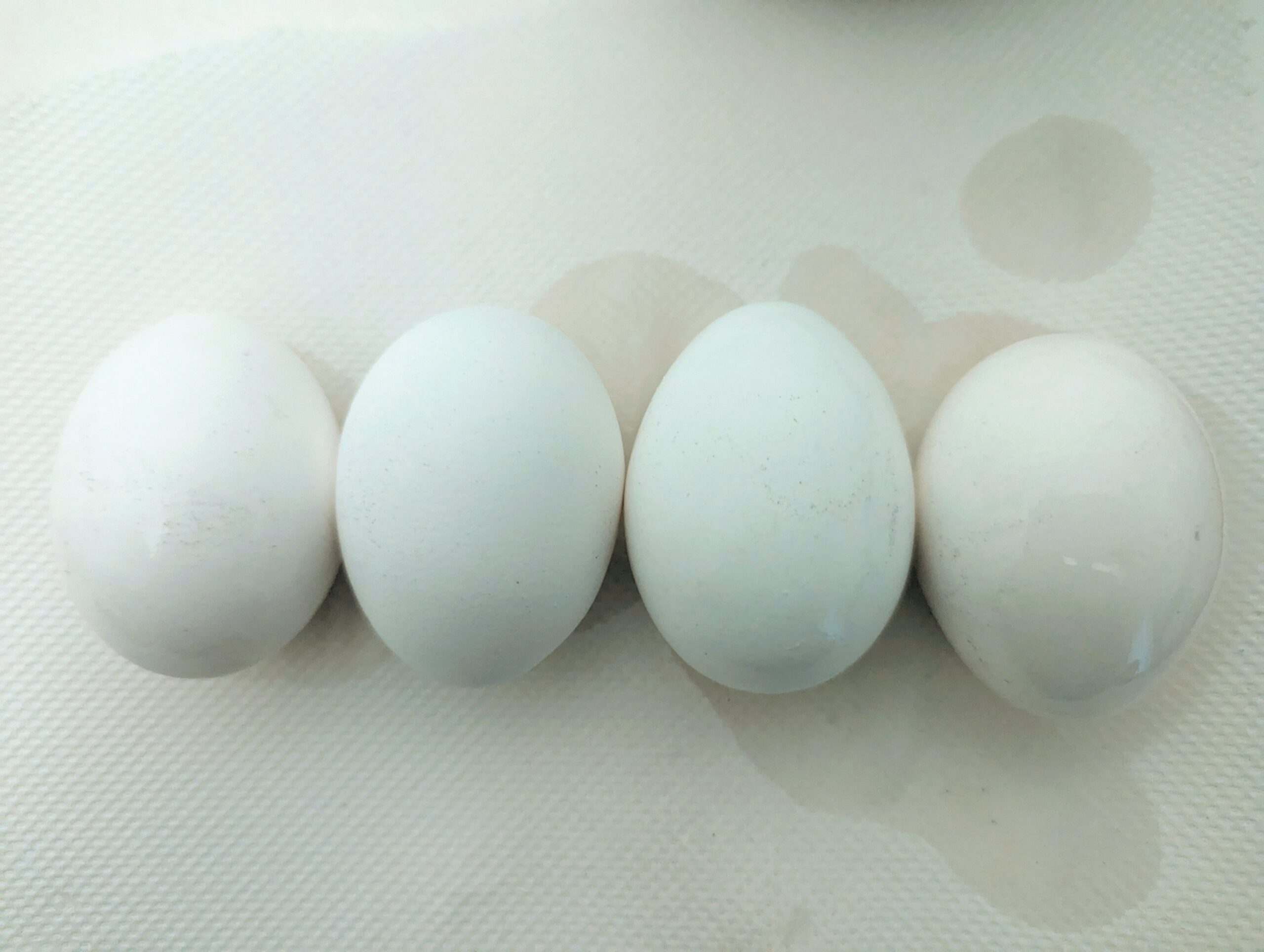 Great Eggspectation: A Study on the Recently Soft Boiled